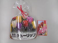 副賞でいただいた球根と花の種です