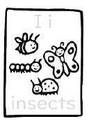 insects