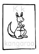 kangaroo
