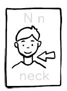 neck
