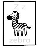 zebra