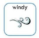 windy