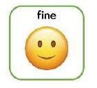 fine