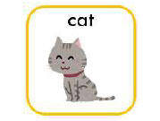 cat