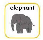 elephant