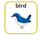 bird