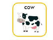 cow