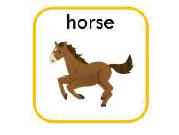 horse