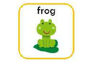 frog