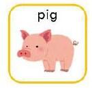 pig