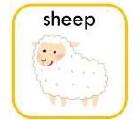 sheep