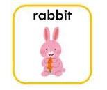 rabbit