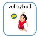 volleyball