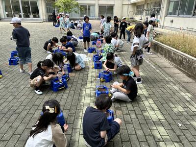 学年みんなで種まきをしました