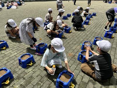 たっぷり水をしみこませます
