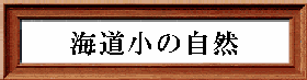 海道小の自然