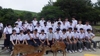 奈良公園