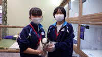 Coo&RIKU