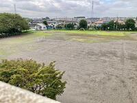 クサボッコ実施前