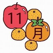 11月