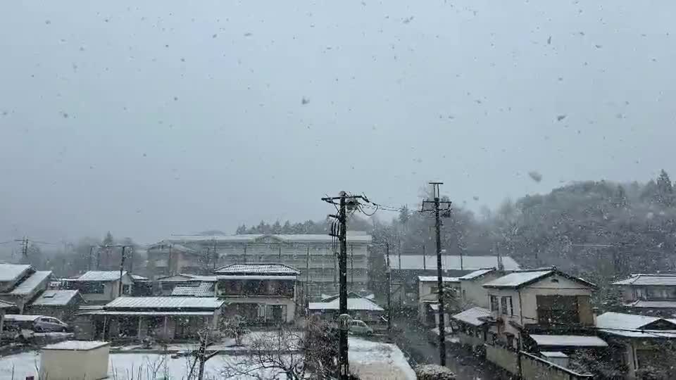 3月3日 天候:雪。