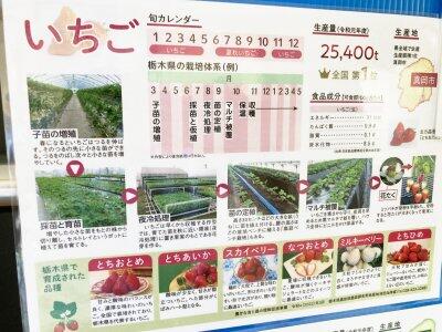 好きないちごはどぉーれ？