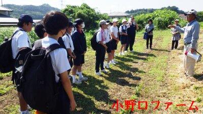 小野口ファームでの活動の様子
