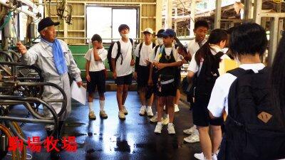 駒場牧場での活動の様子