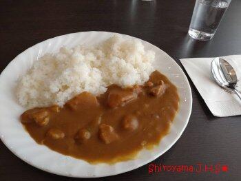 昼食のメニューはカレーライス！