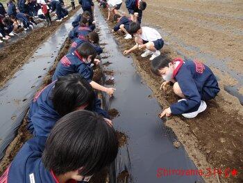 食農体験学習の様子