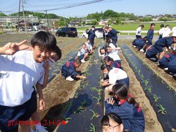 食農体験学習の様子
