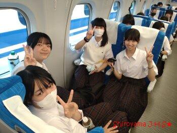 修学旅行の様子