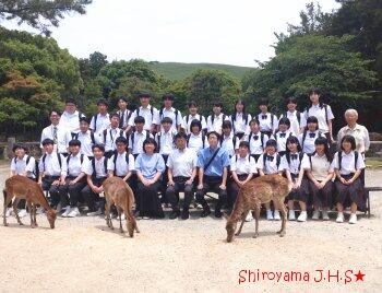 修学旅行の様子