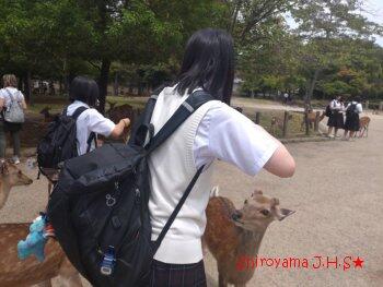 修学旅行の様子