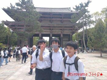 修学旅行の様子