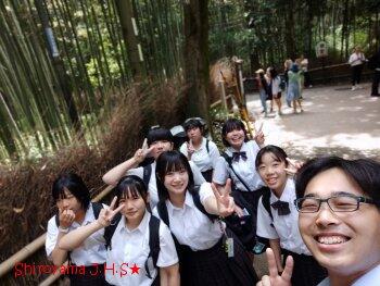 修学旅行の様子