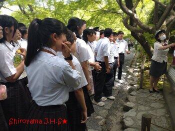修学旅行の様子