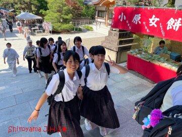 修学旅行の様子