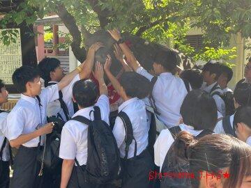 修学旅行の様子