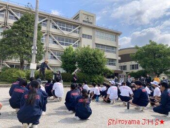 PTA親子環境整備の様子