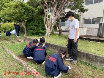 PTA親子環境整備の様子