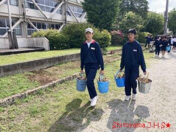 PTA親子環境整備の様子