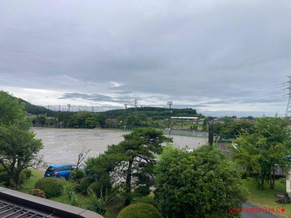 今日は、雨降り