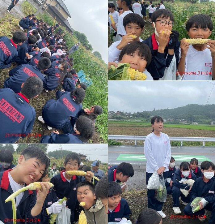 1年生の様子