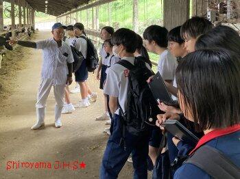 ふるさと学習の様子