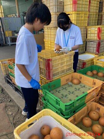 宮っこチャレンジウィークの様子