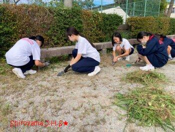 宮っこチャレンジウィークの様子