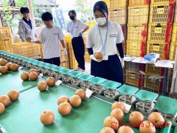 宮っこチャレンジウィークの様子