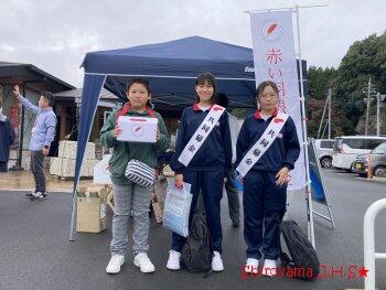 ボランティア活動の様子