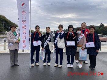 ボランティア活動の様子